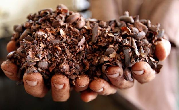 Compuestos presentes en el cacao para tratar enfermedades esqueléticas