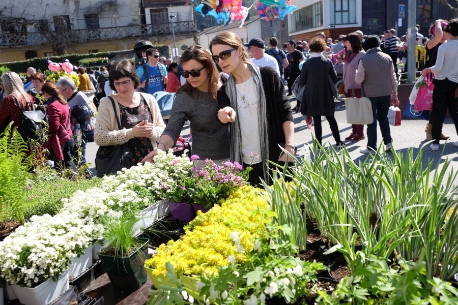 La localidad de Segura ha acogido este domingo su tradicional Feria de Flores y Plantas de Primavera