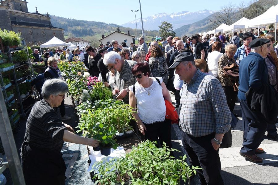 La localidad de Segura ha acogido este domingo su tradicional Feria de Flores y Plantas de Primavera
