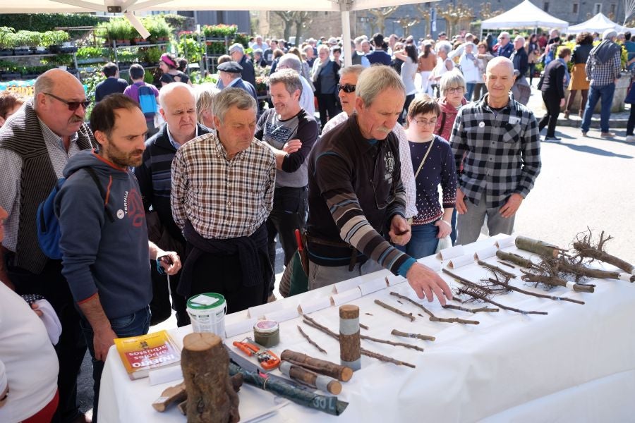 La localidad de Segura ha acogido este domingo su tradicional Feria de Flores y Plantas de Primavera