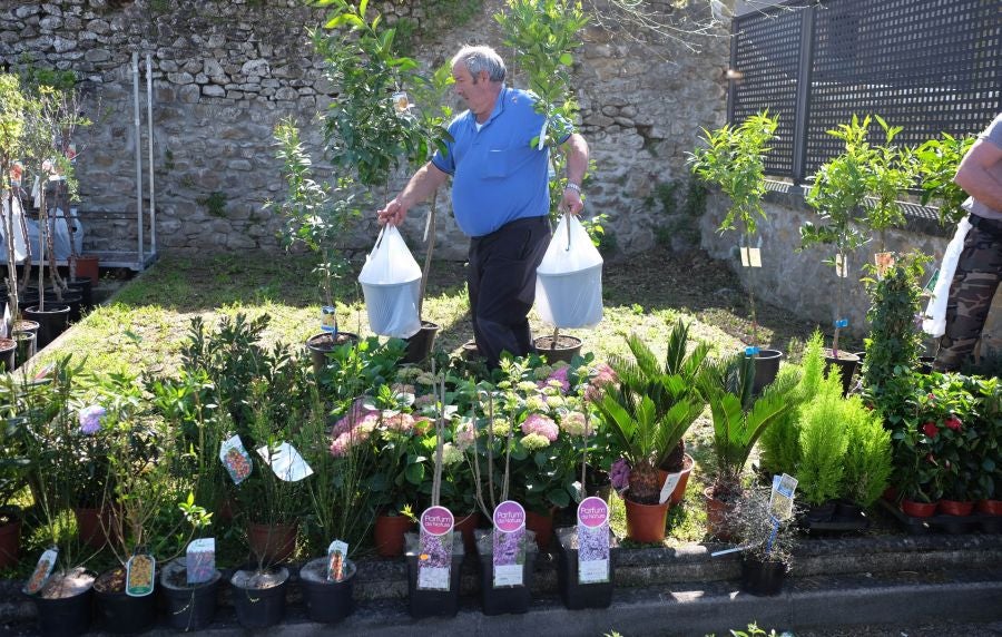 La localidad de Segura ha acogido este domingo su tradicional Feria de Flores y Plantas de Primavera