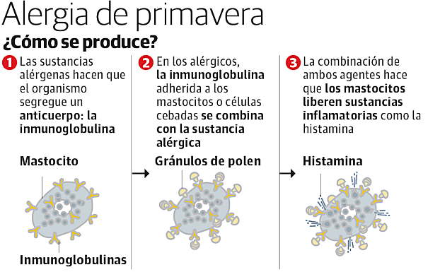 400.000 vascos alérgicos afrontan una suave primavera tras su peor invierno en 25 años