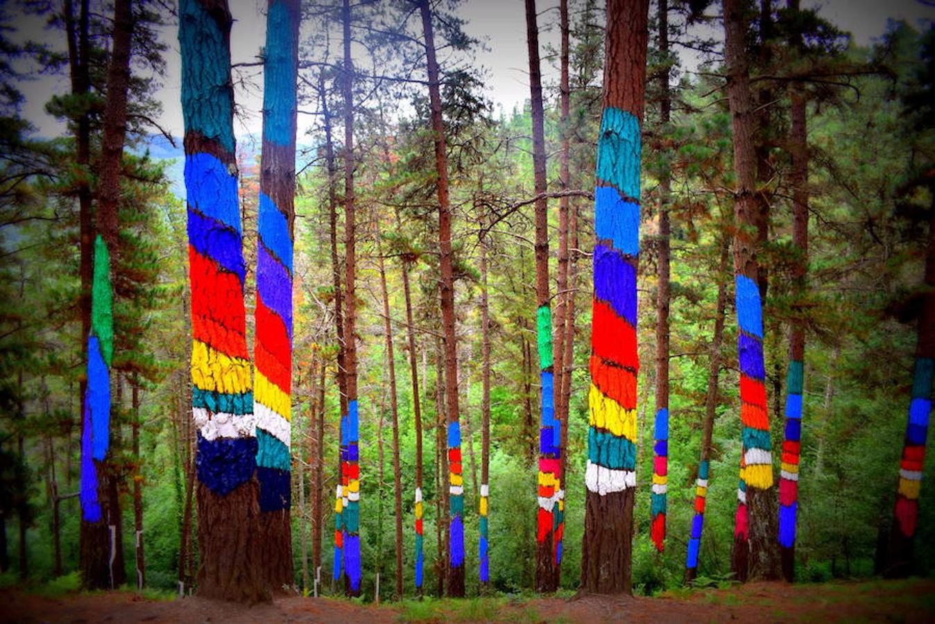 Fotos: El bosque de Oma