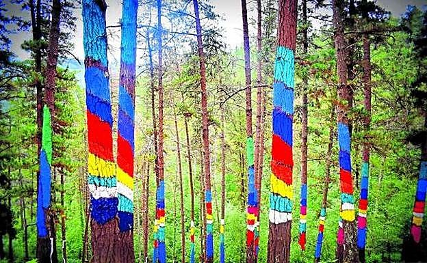 La 'peste de los pinos' amenaza el Bosque de Oma, cerrado al público