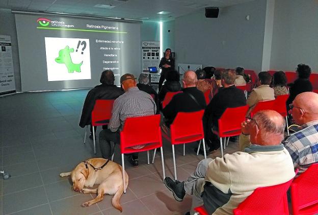 Los asistentes a la charla de Begisare escuchan las explicaciones de Amaia Gereñu.