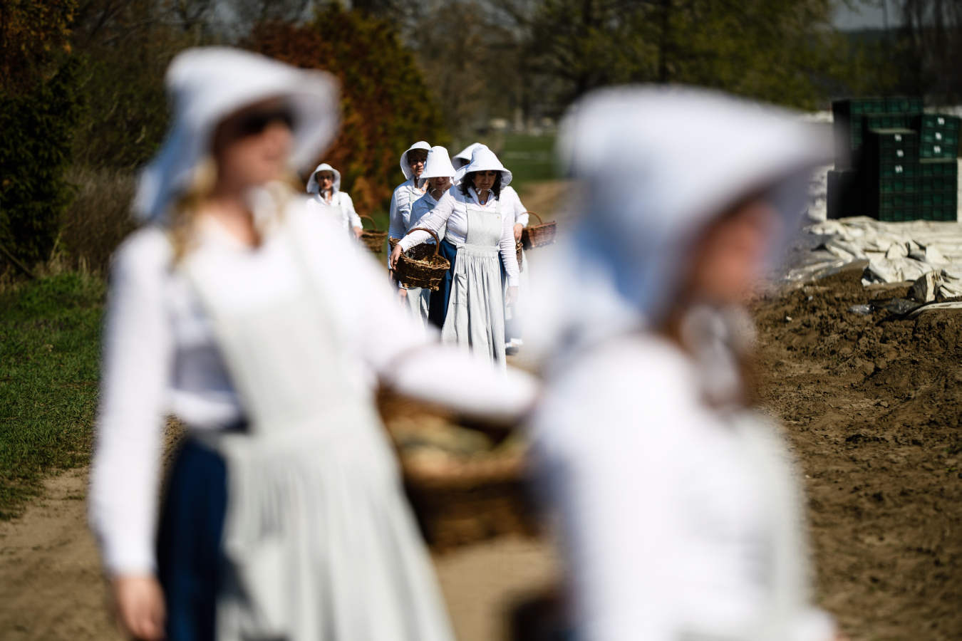 Un grupo de mujeres vestidas con trajes históricos que se dirigen a una sesión de fotos con motivo del inicio de la temporada de cosecha de espárragos, en un campo en Beelitz. En las imágenes también se ven a los trabajadores del campo