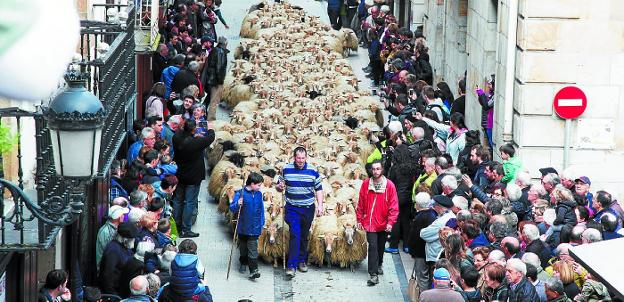 El miércoles, en el Artzain Eguna, los rebaños de ovejas pasarán por las calles de la localidad. 