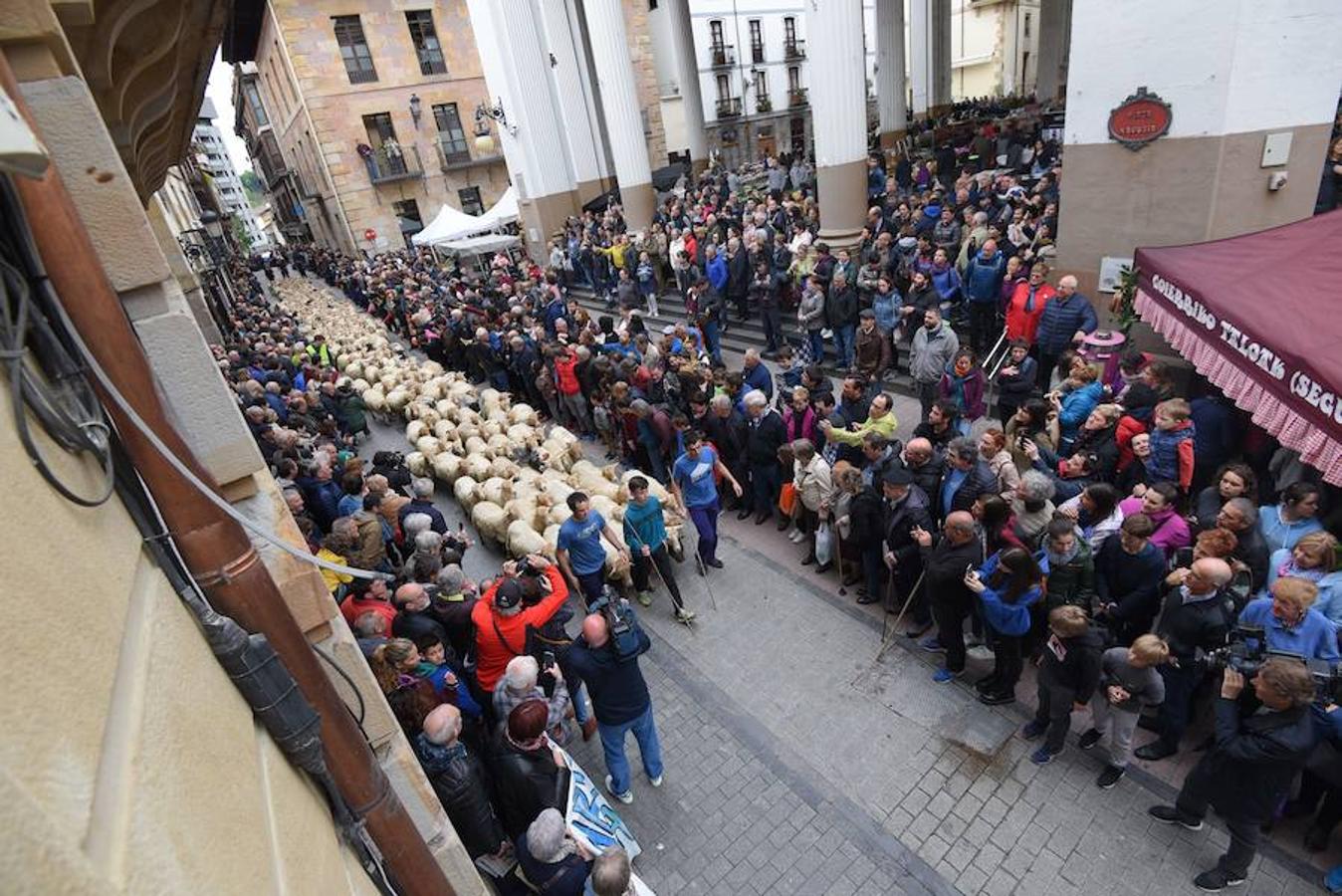 Más de 2.000 ovejas cruza este miércoles por la mañana el casco histórico de Ordizia. Serán protagonistas, como cada miércoles de Pascua, del Artzain Eguna o Día del Pastor en la localidad goierriarra.