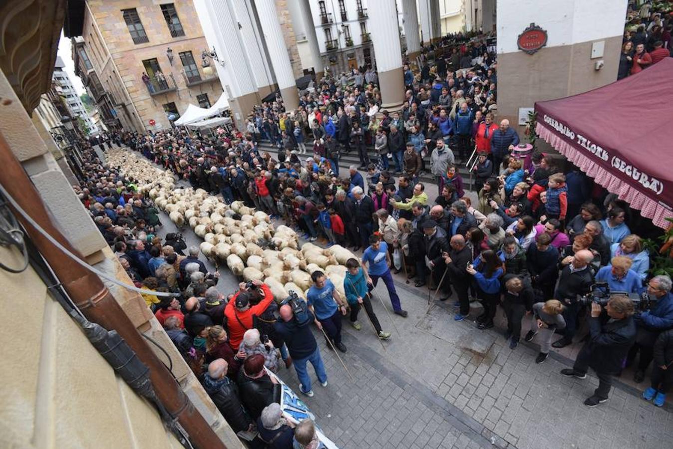 Más de 2.000 ovejas cruza este miércoles por la mañana el casco histórico de Ordizia. Serán protagonistas, como cada miércoles de Pascua, del Artzain Eguna o Día del Pastor en la localidad goierriarra.