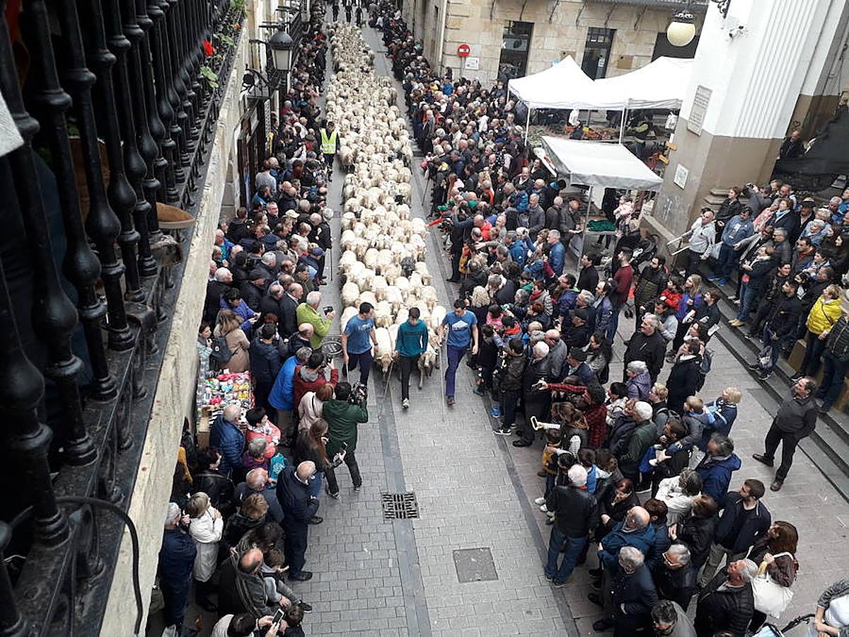 Más de 2.000 ovejas cruza este miércoles por la mañana el casco histórico de Ordizia. Serán protagonistas, como cada miércoles de Pascua, del Artzain Eguna o Día del Pastor en la localidad goierriarra.