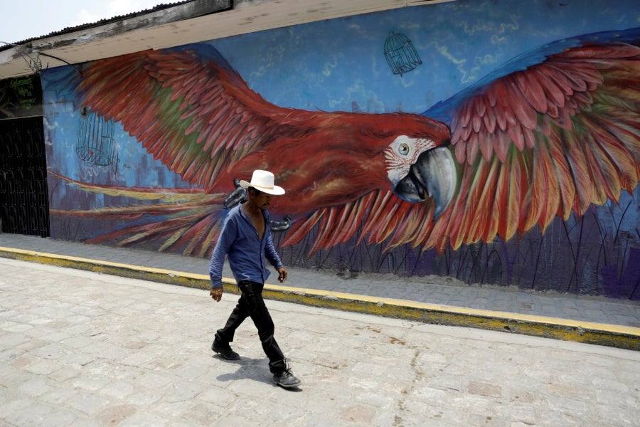 Las fachadas de las casas del poblado de San Juan de Flores, municipio de Cantarranas, Honduras, han sido pintadas con murales de reconocidos artistas nacionales e internacionales. 