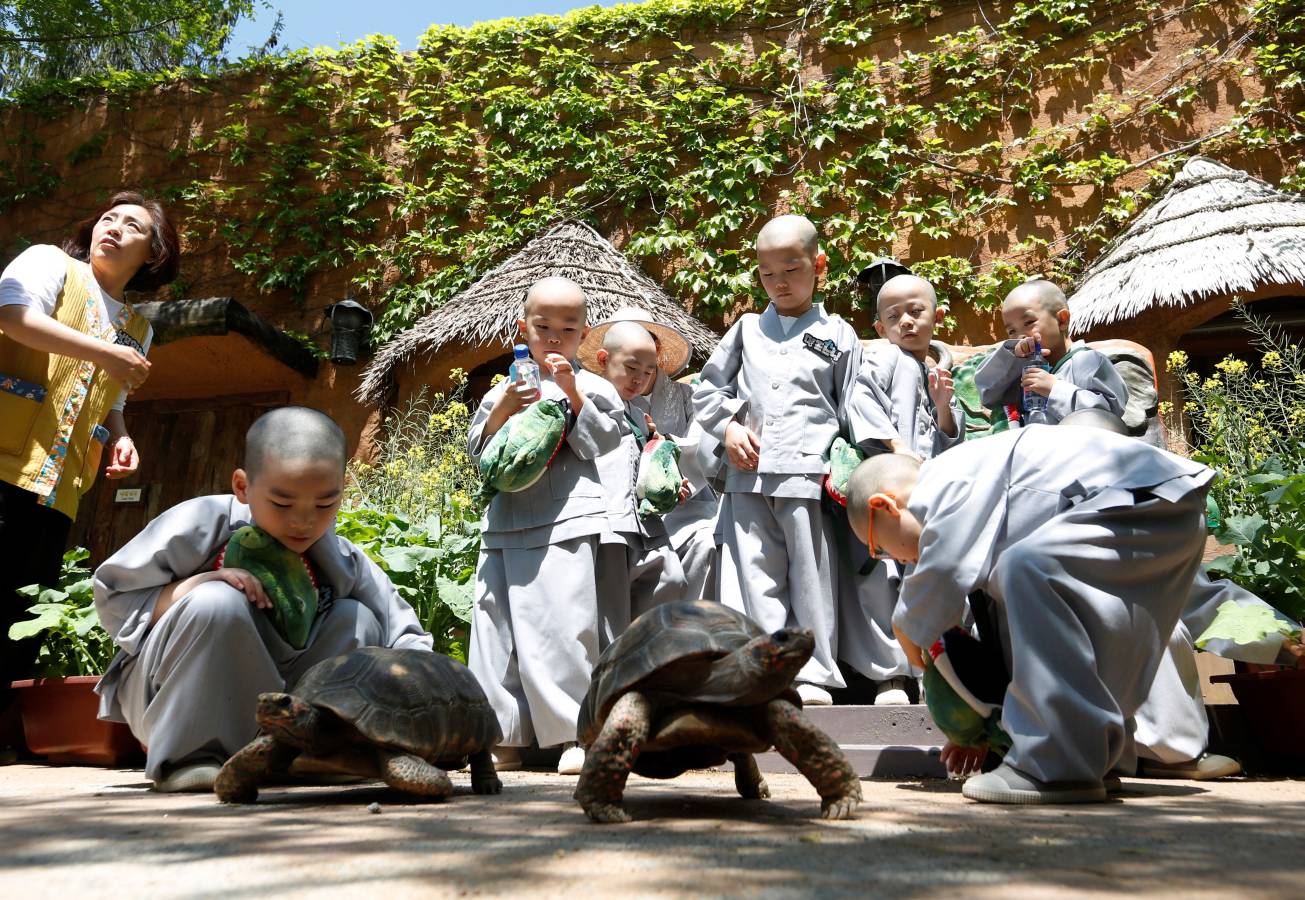 Monjes novicios surcoreanos disfrutan de su visita a Everland, el parque de diversiones más grande de Corea del Sur. Los niños están experimentando la vida monástica en las tres semanas previas al próximo cumpleaños de Buda el 12 de mayo.
