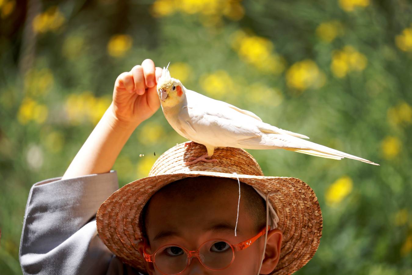 Monjes novicios surcoreanos disfrutan de su visita a Everland, el parque de diversiones más grande de Corea del Sur. Los niños están experimentando la vida monástica en las tres semanas previas al próximo cumpleaños de Buda el 12 de mayo.