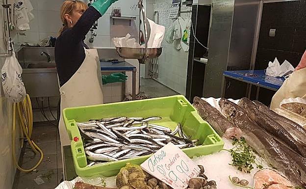 Anchoa en una pescadería guipuzcoana. 