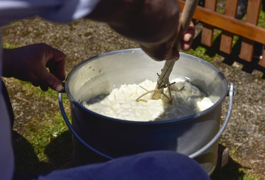 Idiazabal se vistió de gala para celebrar una de las citas fetivas más importante de la localidad, la Feria del Queso Vasco . Cientos de personas aprovecharon la soleada jornada para acercarse hasta allí y partipar en los numerosos actos y actividades organizadas a lo largo de la mañana de ayer. Una feria que reunió a 29 productores de queso con Denominación de Origen Idiazabal y Ossau Iraty.