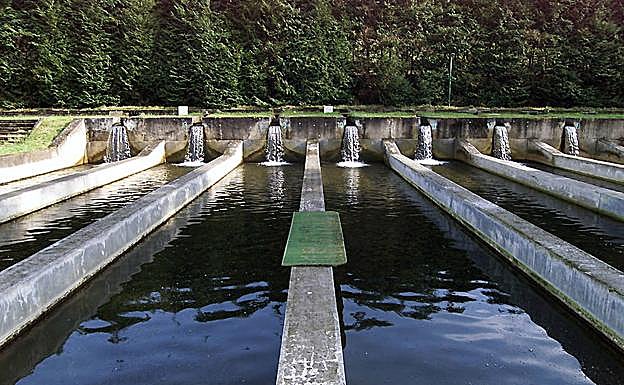 La piscifactoría de Oronoz-Mugaire.