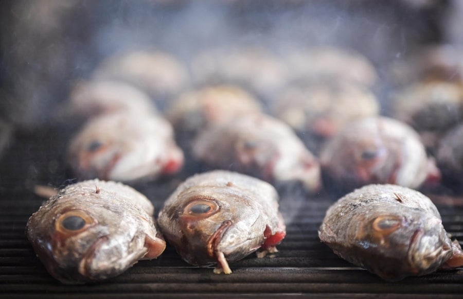 La Feria de Tolosa ha vuelto a la localidad con la SIdra y el Besugo como protagonistas. Así decenas de comensales han podido disfrutar del mejor menú con un tiempo inmejorable.