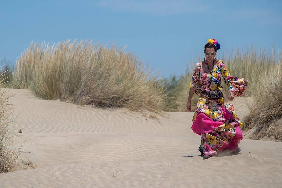 Miles de peregrinos han iniciado la romería del Roció. Este año son 124 las hermandades filiales que hará el camino hasta la aldea, tres más que el pasado año, La romería recorre los caminos del Parque Nacional de Doñana hasta llegar a la fiesta del Rocío donde los rocieros esperarán a que saquen a la 'Blanca Paloma', como se conoce coloquialmente a la Virgen del Rocío. La noche del domingo se celebra una gran fiesta rociera y se realiza el rezo del rosario hasta la llegada del alba cuando se produce el esperado 'salto de la reja' y comienza la procesión de la 'Blanca Paloma'. Este año se celebra el 8 de junio el Centenario de la Coronación Canónica de la Virgen del Rocío.