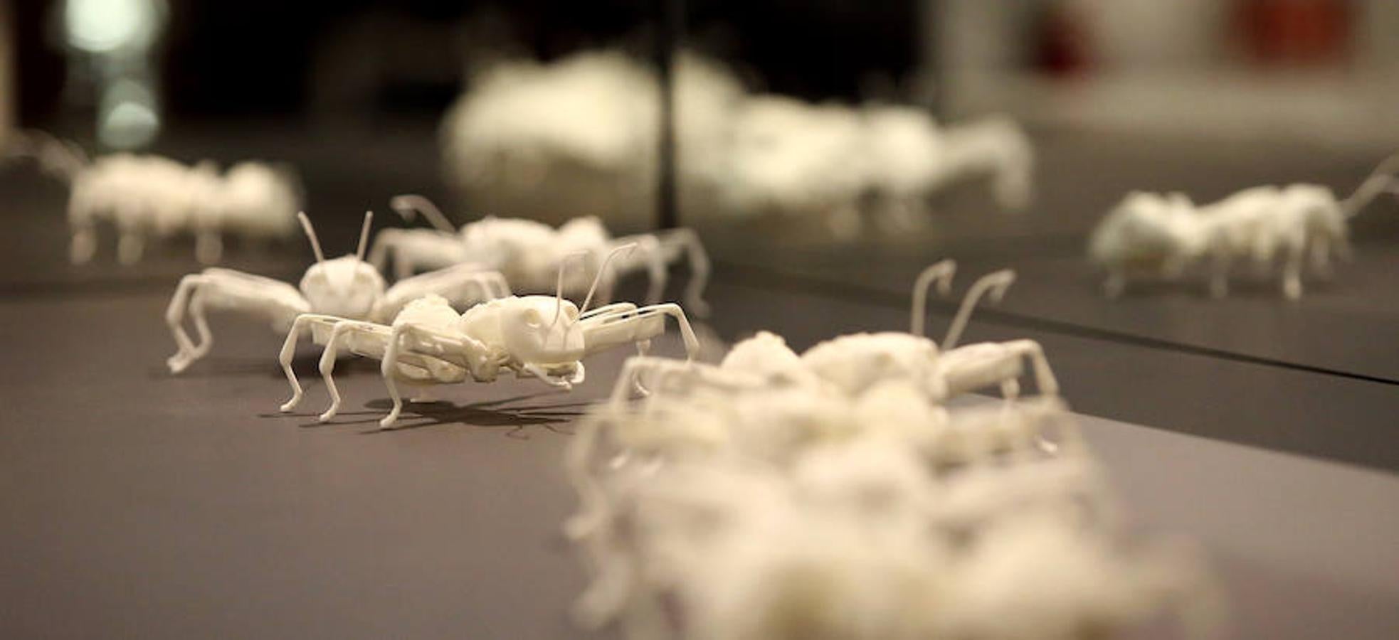 El Museo San Telmo ha presentado este viernes la exposición 'Hello, robot, el diseño entre el humano y la máquina', una muestra de Vitra Design Museum, MAK Vienna y Design Museum Gent, y comisariada por Amelie Klein, examina detalladamente el boom actual de la robótica.