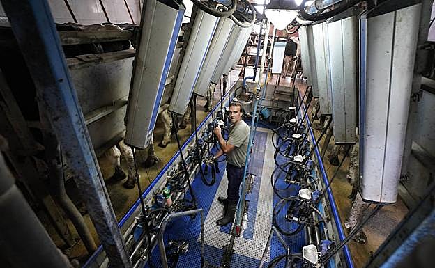 Arrramendi. Joserramon Arsuaga, en la sala de ordeño donde trabaja a diario en Ordizia. 