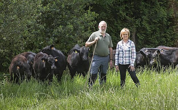 Oihanalde. Félix Ugarte y Arantxa Arruabarrena, junto algunas de las vacas y terneros que mostrarán a los visitantes. 