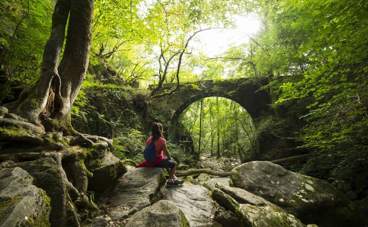 Excursionista disfrutando de la naturaleza.