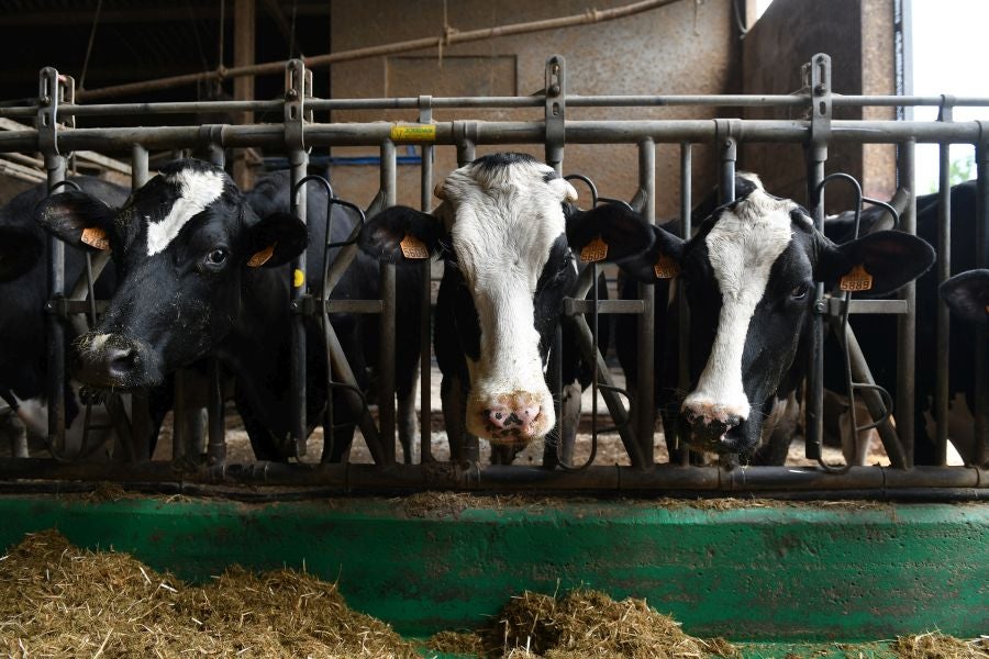 Fotos: El casería, la nueva clase durante dos días