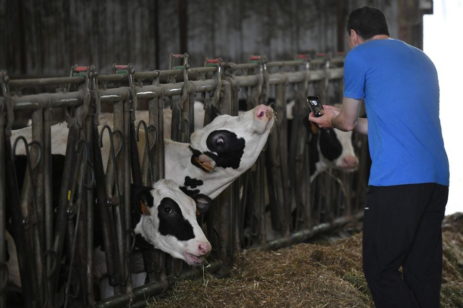Fotos: El casería, la nueva clase durante dos días