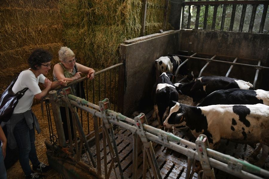 Fotos: El casería, la nueva clase durante dos días