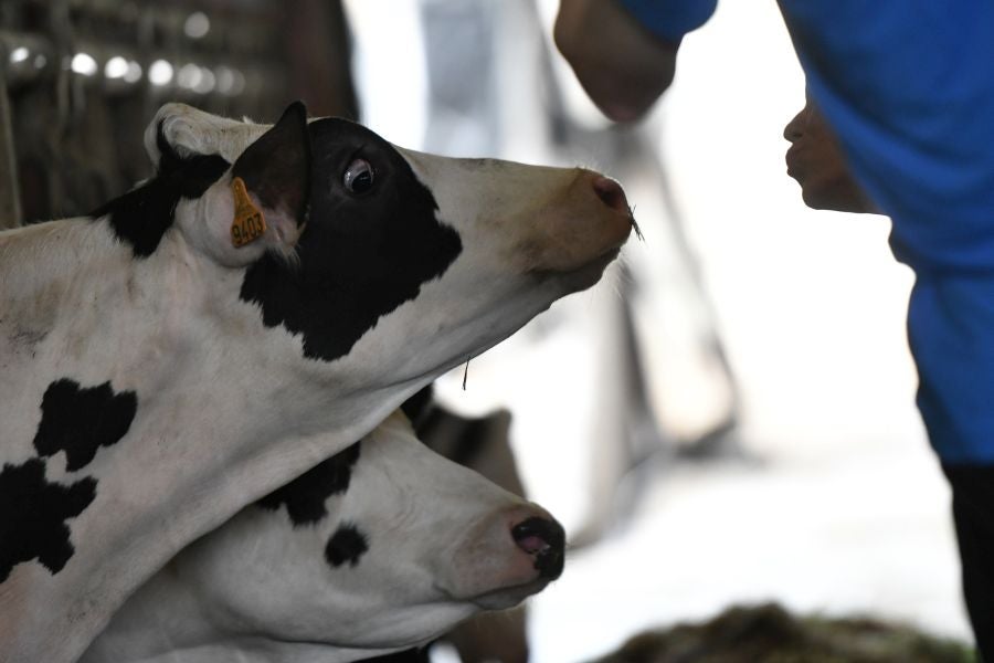 Fotos: El casería, la nueva clase durante dos días