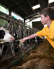 Imagen secundaria 2 - El caserío se transforma en clase durante dos días