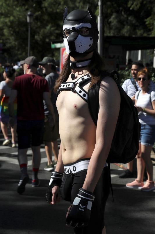 Fotos: Celebración superlativa y multicolor del Orgullo LGTBI en Madrid