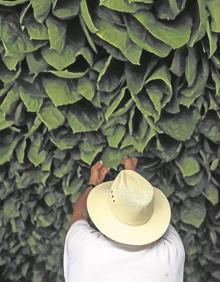 Imagen secundaria 2 - Nicaragua huele a Cuba