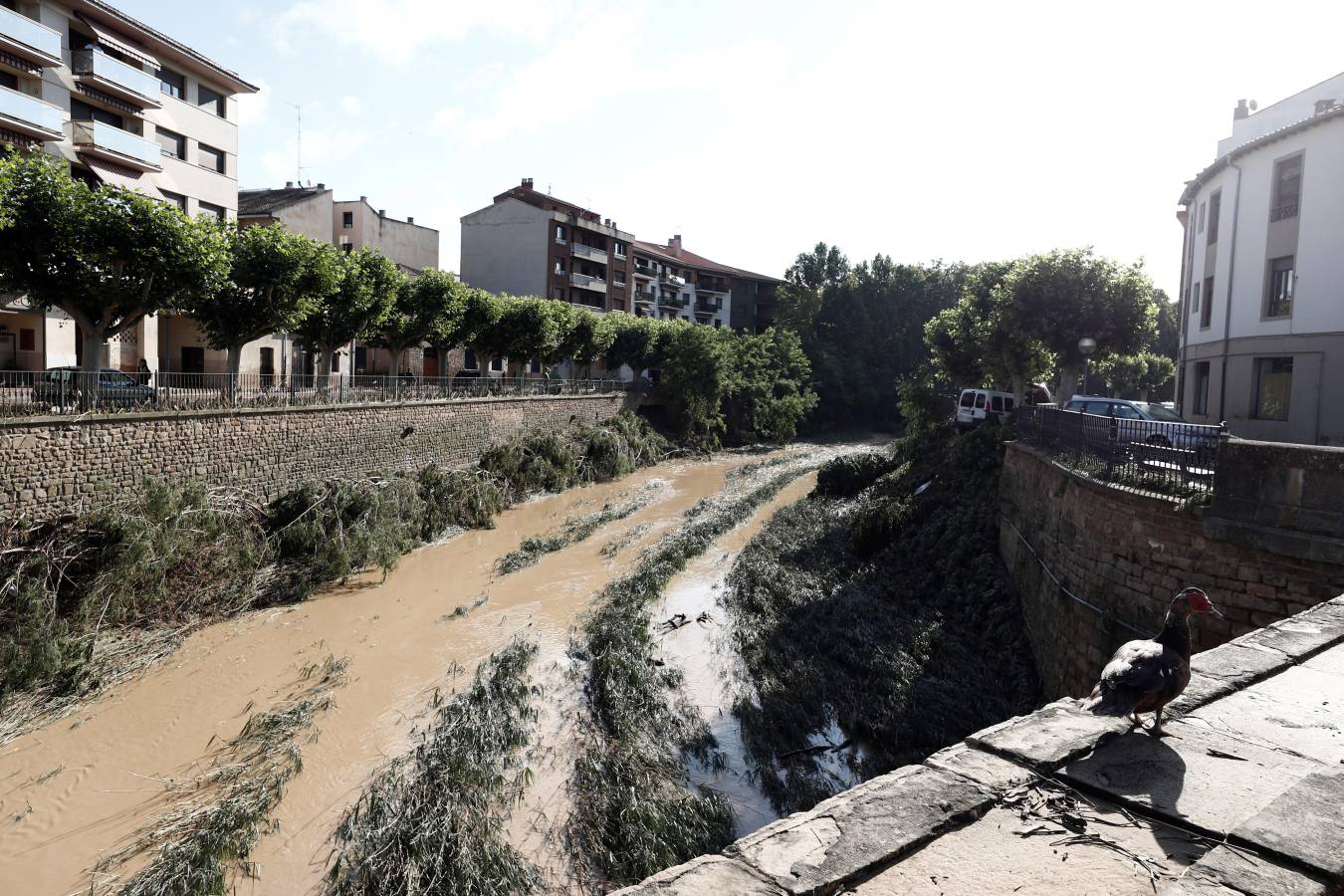 Fotos: Inundaciones y graves daños en Tafalla, Olite y Pueyo por las intensas lluvias