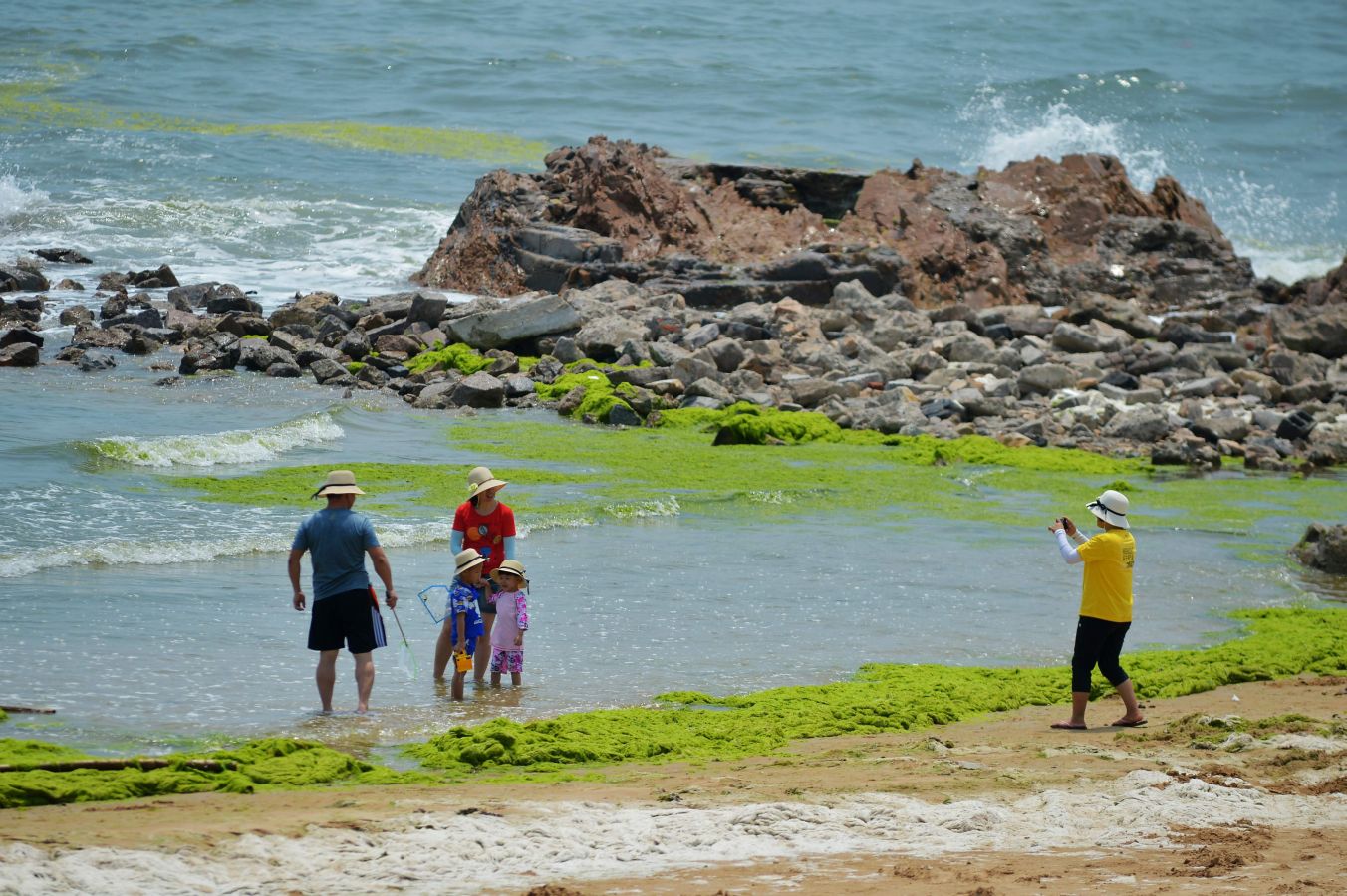 Fotos: Las algas vibrantes que &#039;florecen&#039; con el calor