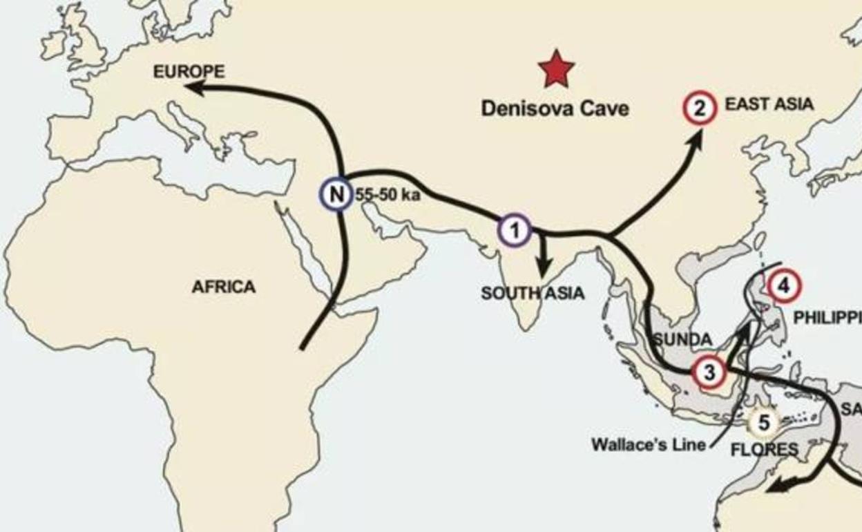 El Mapa muestra cuándo y donde nuestros antepasados directos pudieron cruzarse con dos especies humanas de las que no sabemos nada.