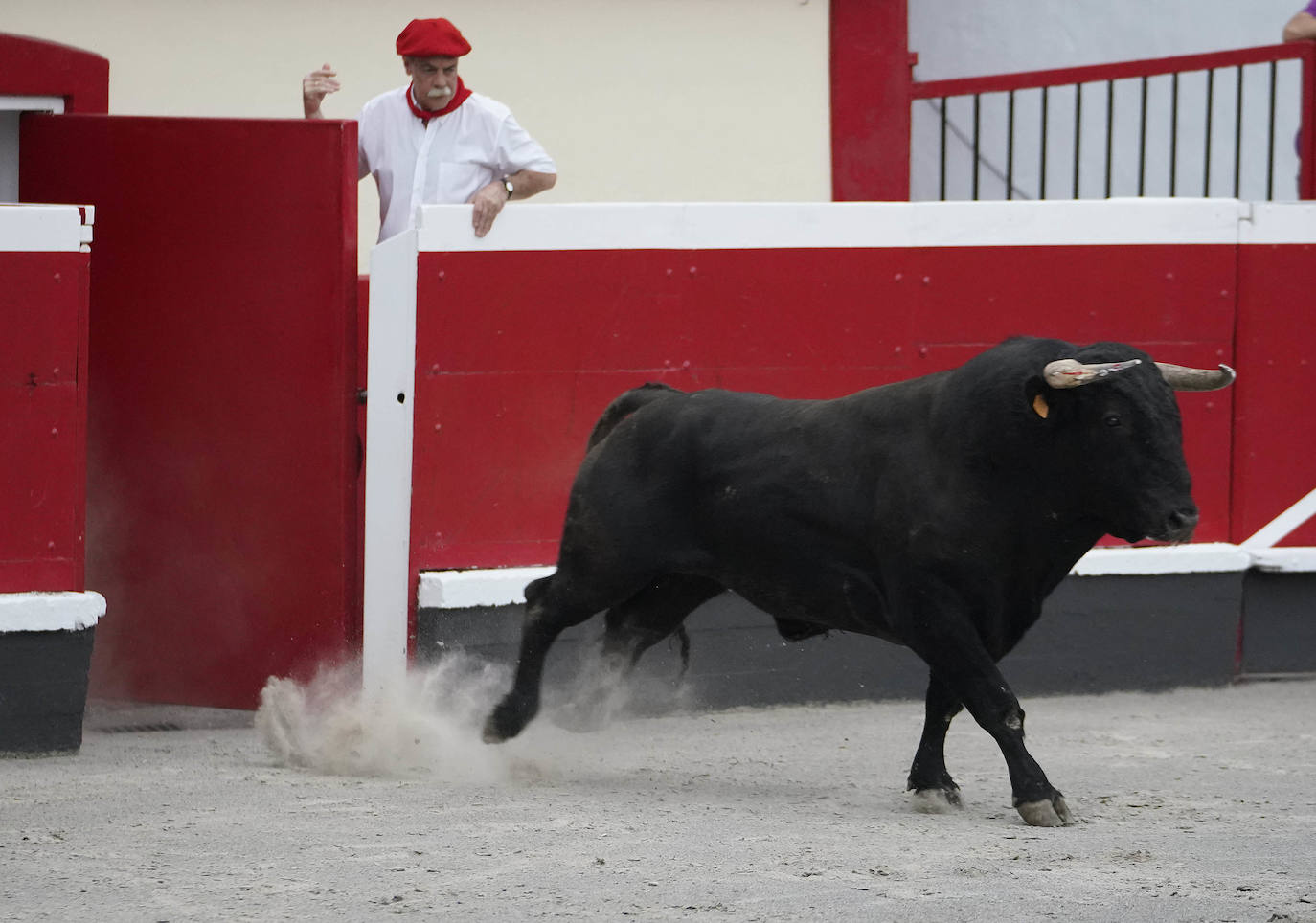 Fotos: ‘Use’ y ‘Guindi’ se reparten la txapela