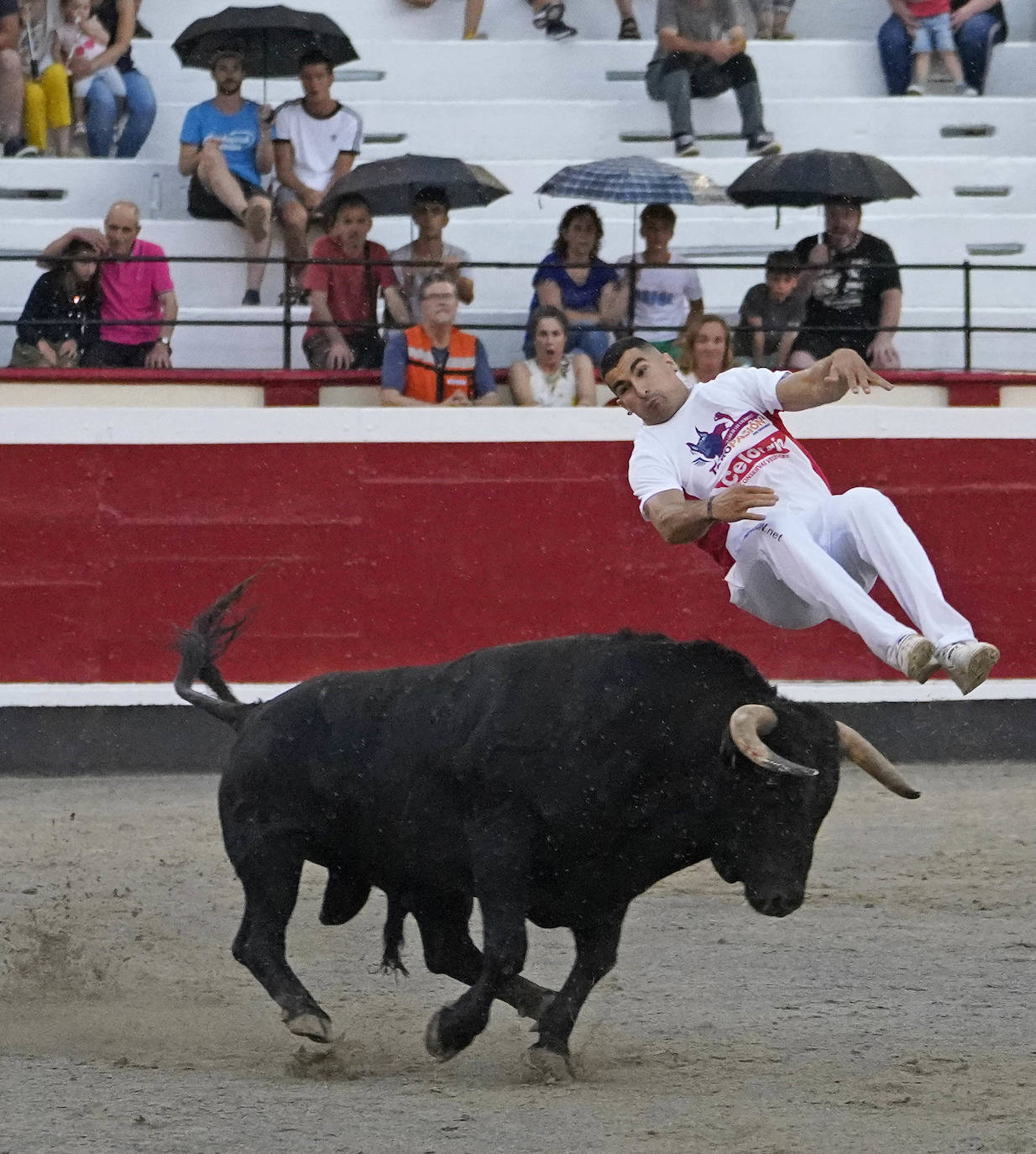 Fotos: ‘Use’ y ‘Guindi’ se reparten la txapela