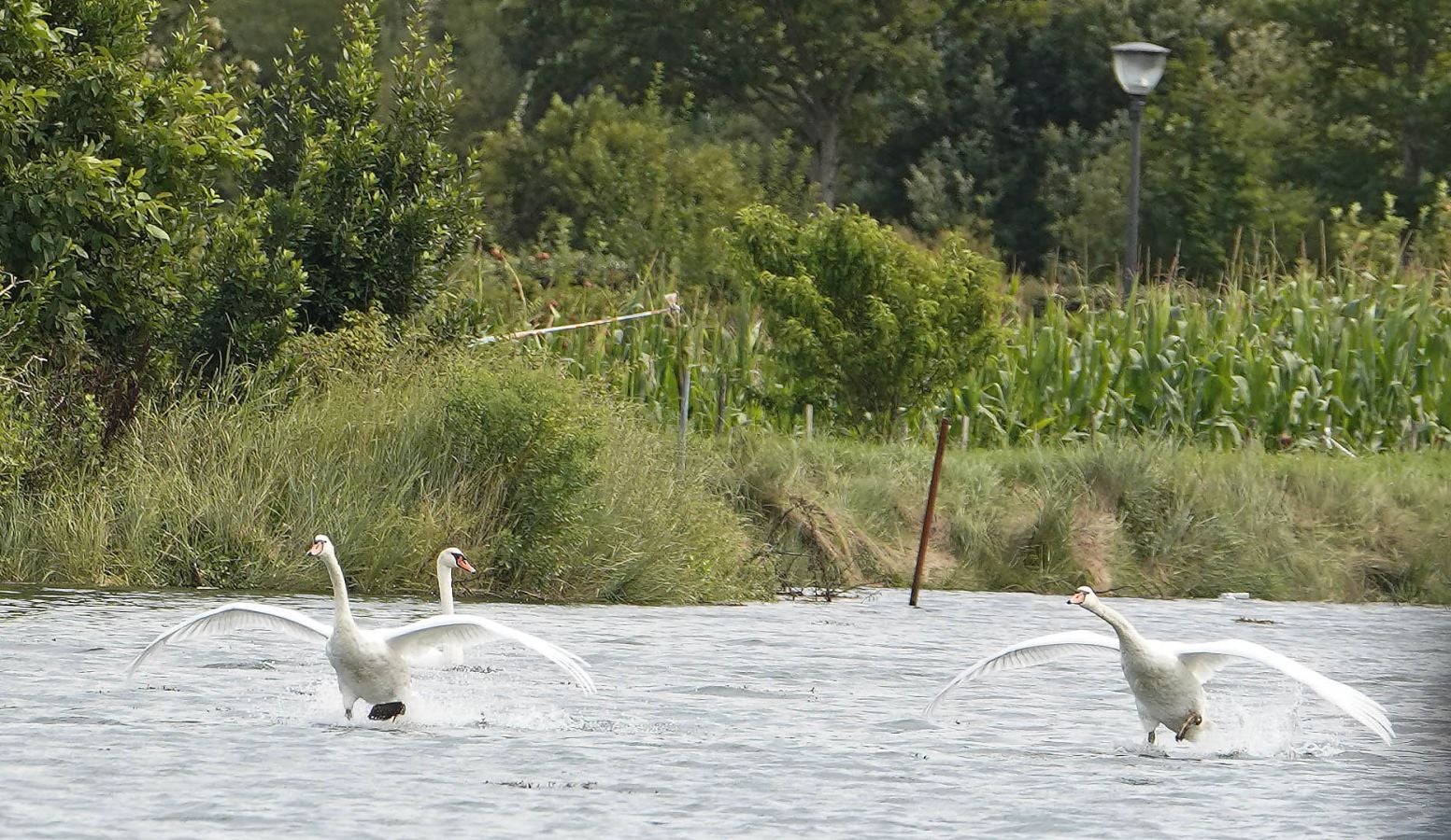Fotos: Los pueblos ribereños en las orillas