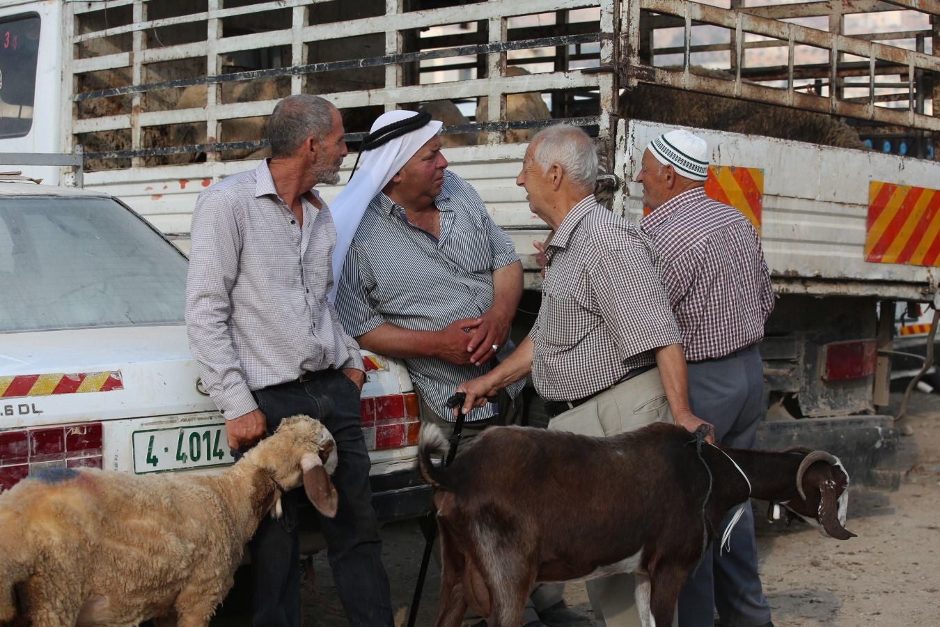 Fotos: Ganado &#039;volador&#039; en Karachi