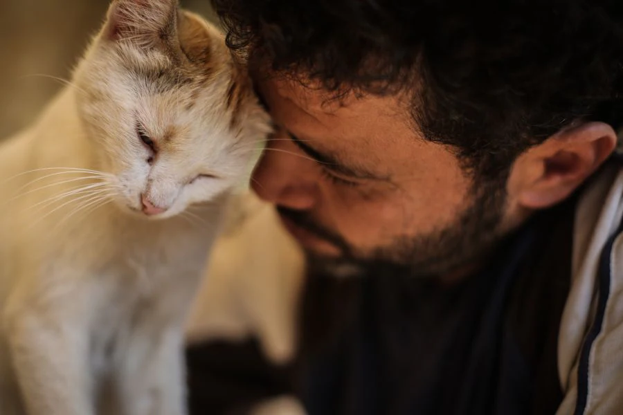 Fotos: El hombre gato de Alepo