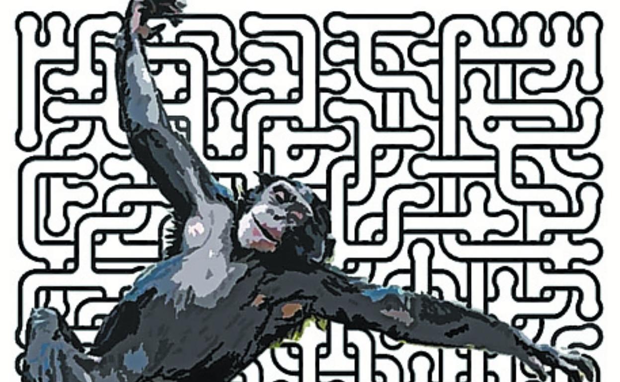 El poder de los algoritmos