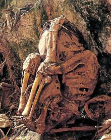 Imagen secundaria 2 - La cultura chachapoya dejó su historia enterrada y momificada en las cuevas de los Andes