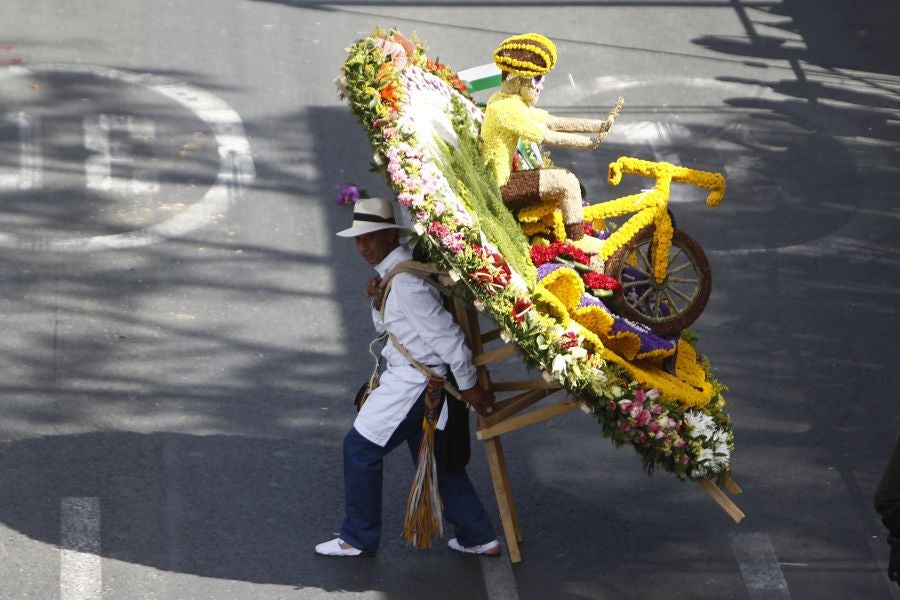 Fotos: Medellín se viste de jardín
