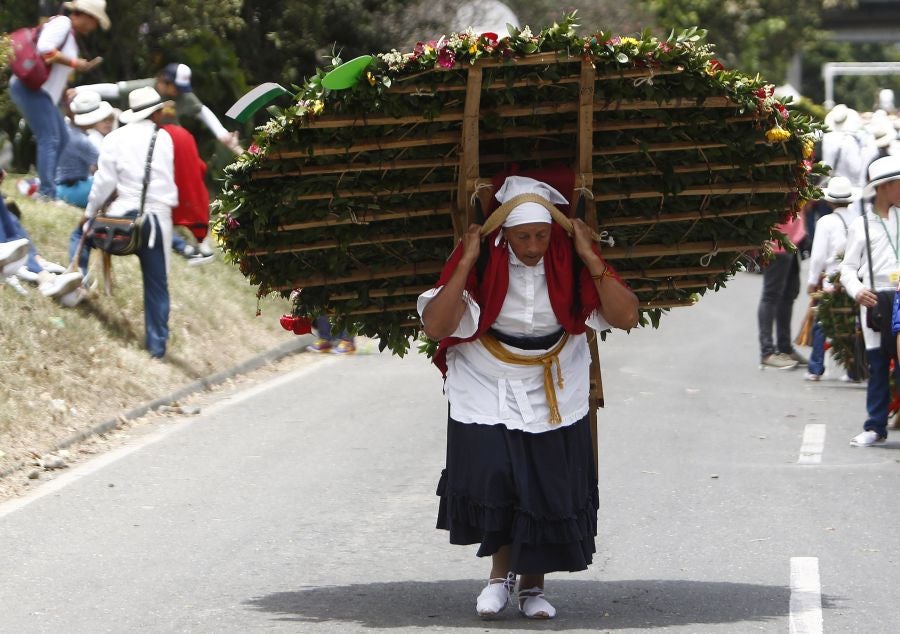 Fotos: Medellín se viste de jardín