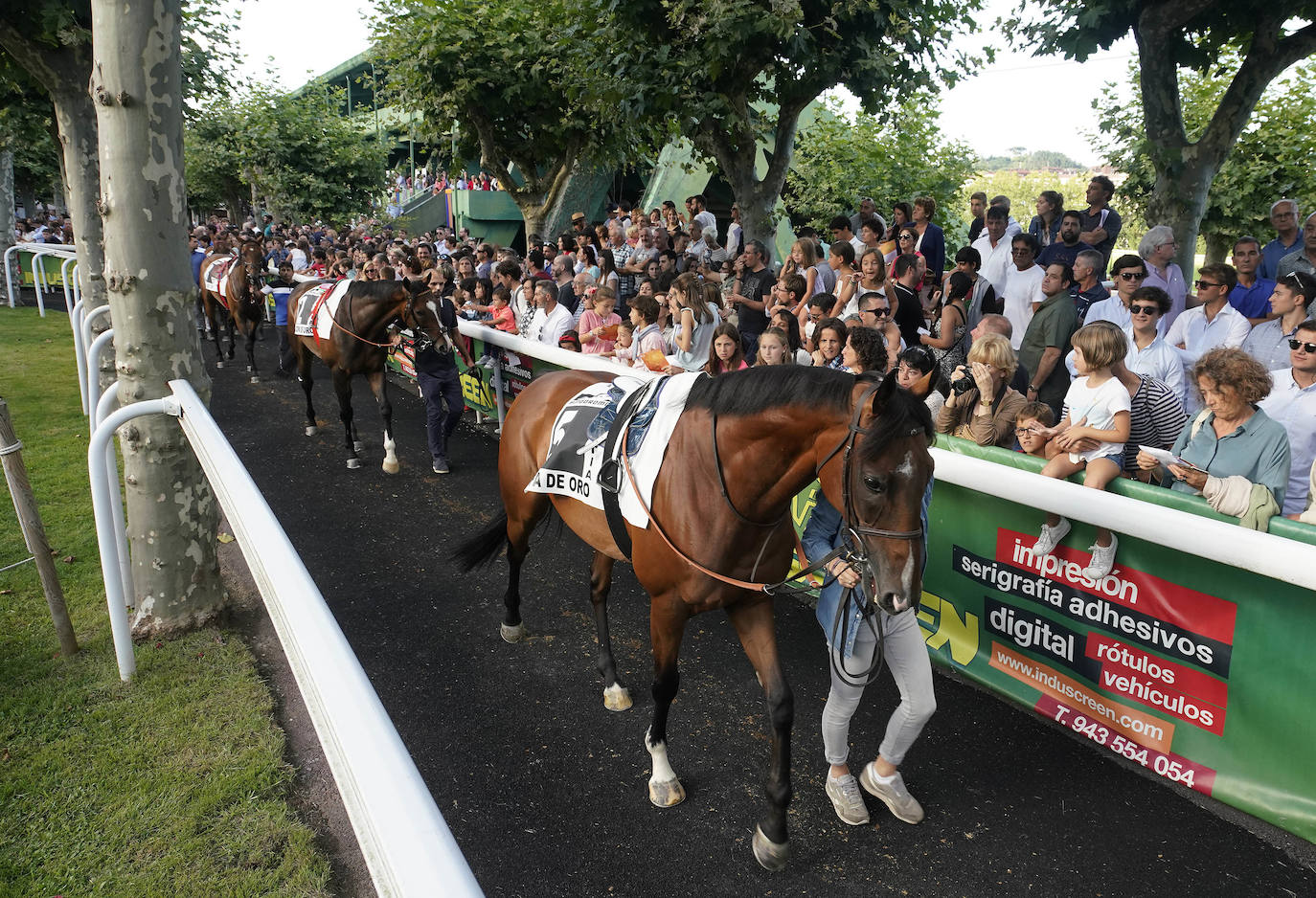 Fotos: ‘Amazing Red’ gana la Copa de Oro de San Sebastián