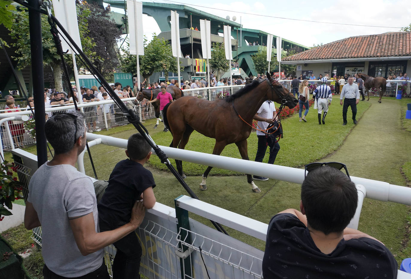 Fotos: ‘Amazing Red’ gana la Copa de Oro de San Sebastián