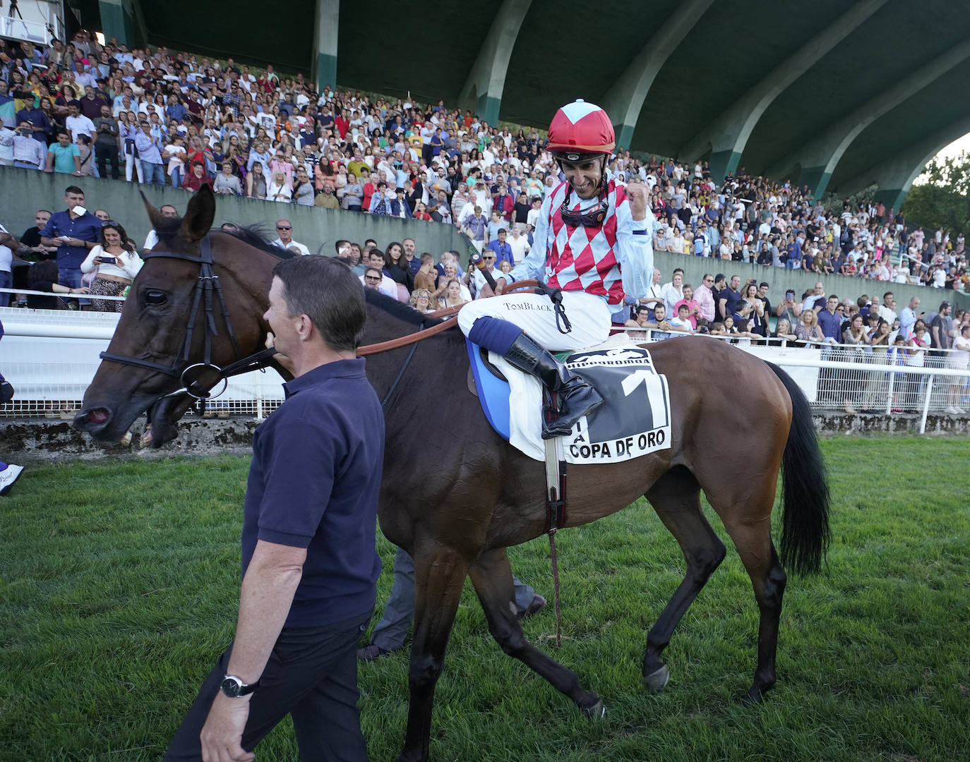 Fotos: ‘Amazing Red’ gana la Copa de Oro de San Sebastián