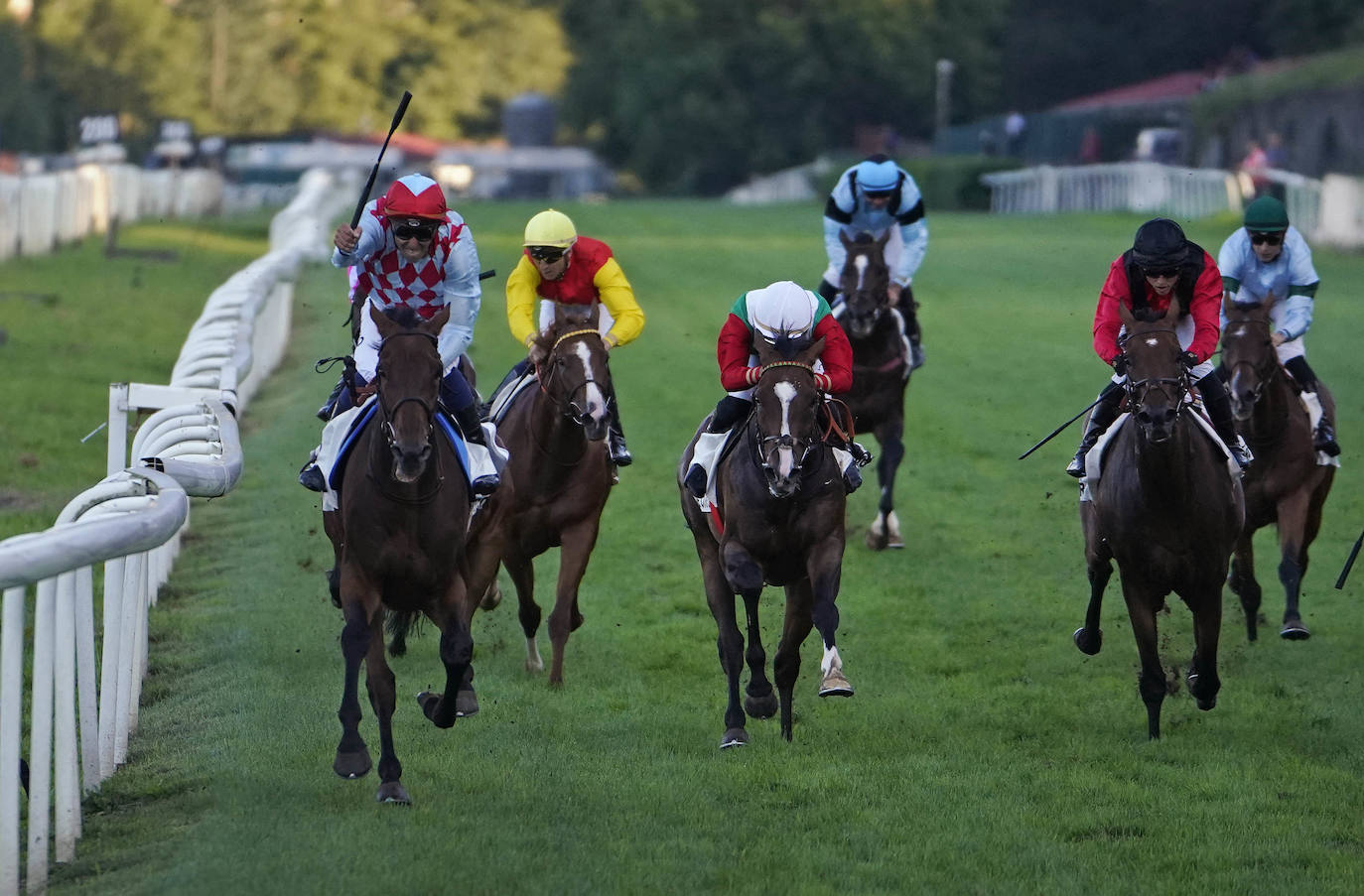 Fotos: ‘Amazing Red’ gana la Copa de Oro de San Sebastián