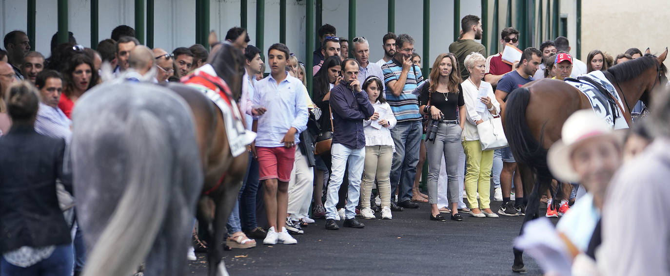 Fotos: ‘Amazing Red’ gana la Copa de Oro de San Sebastián